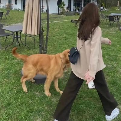 欢迎来到丛林